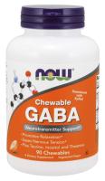 GABA Orange Flavor Chewable 90 Tablets