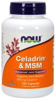 NOW Celadrin® & MSM 500 mg 120 Caps ~ Advanced Joint Support*