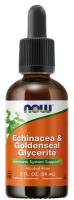 NOW Echinacea-Goldenseal Glycerite 2 oz. ~ Immune System Support