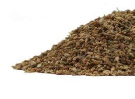 Frontier Celery Seed, Whole, Organic 1 lb.