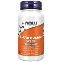 L-Carnosine 500 mg 50 Vcaps®