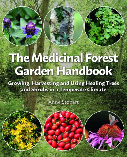 Medicinal Forest Garden Handbook by Anne Stobart