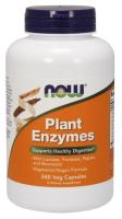 Plant Enzymes 240 Vcaps