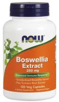 NOW Boswellia Extract 250 mg 120 VCaps ~ Balanced Immune Response*